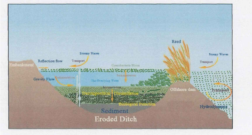 圖片6.png 圖片6.png